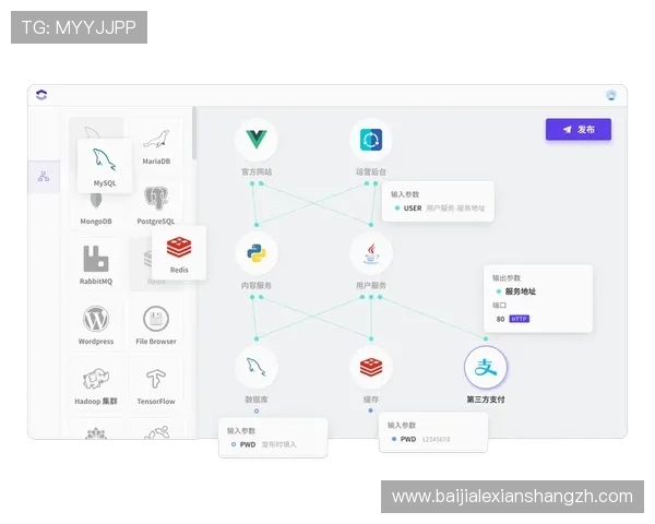 探索PA平台官网的最新版本和未来发展方向打造专业化的在线服务平台