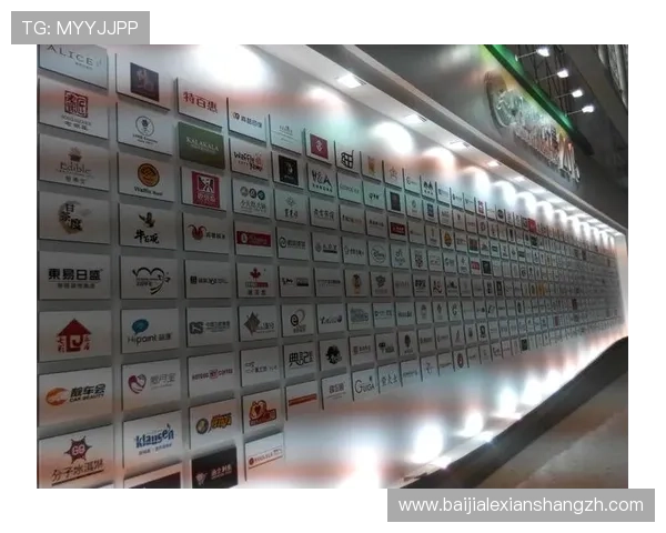 ob视讯官网详细介绍游戏特色与玩法攻略，帮助新手快速上手畅玩游戏世界