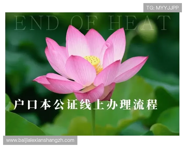 澳门百家乐规则攻略详尽讲解新手入门到高手进阶的完整流程 澳门百家乐规则攻略详尽讲解新手入门到高手进阶的完整流程