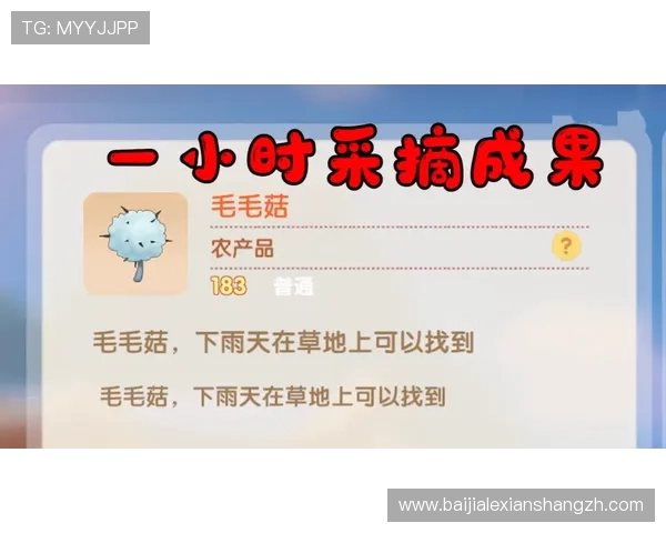 百家乐口诀实用指南，助你掌握赢钱的关键技巧实现财务自由